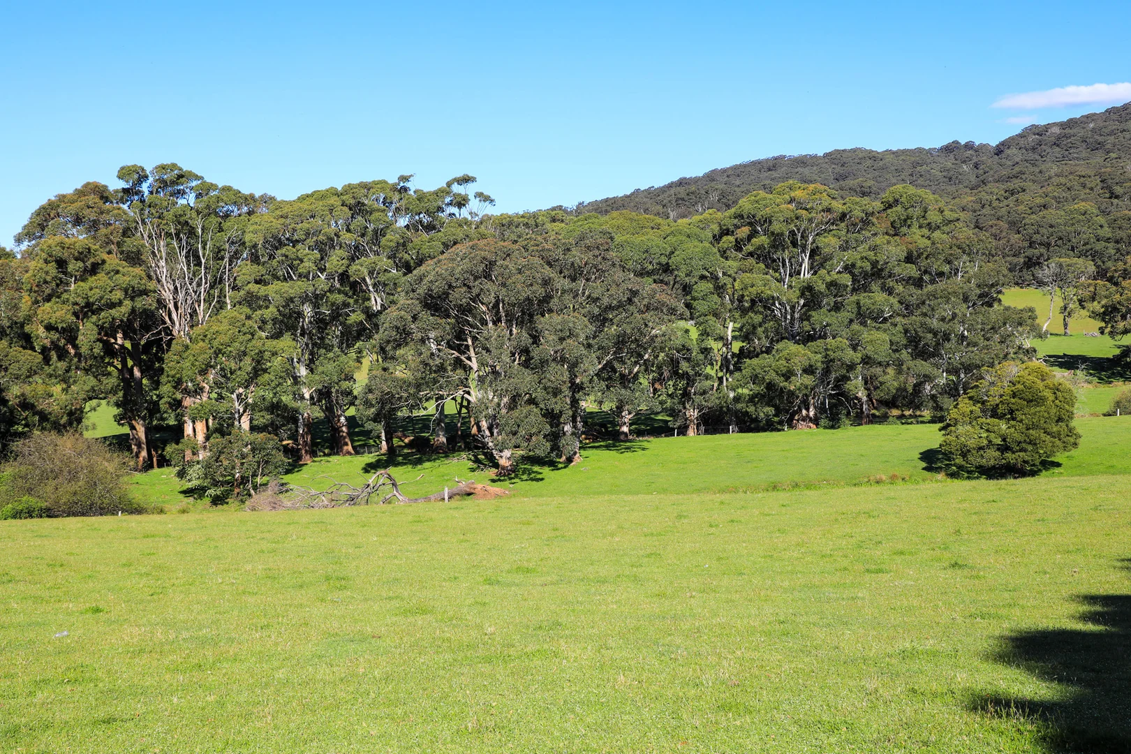 Additional image 11 of 154 Straws Lane, Hesket VIC 3442