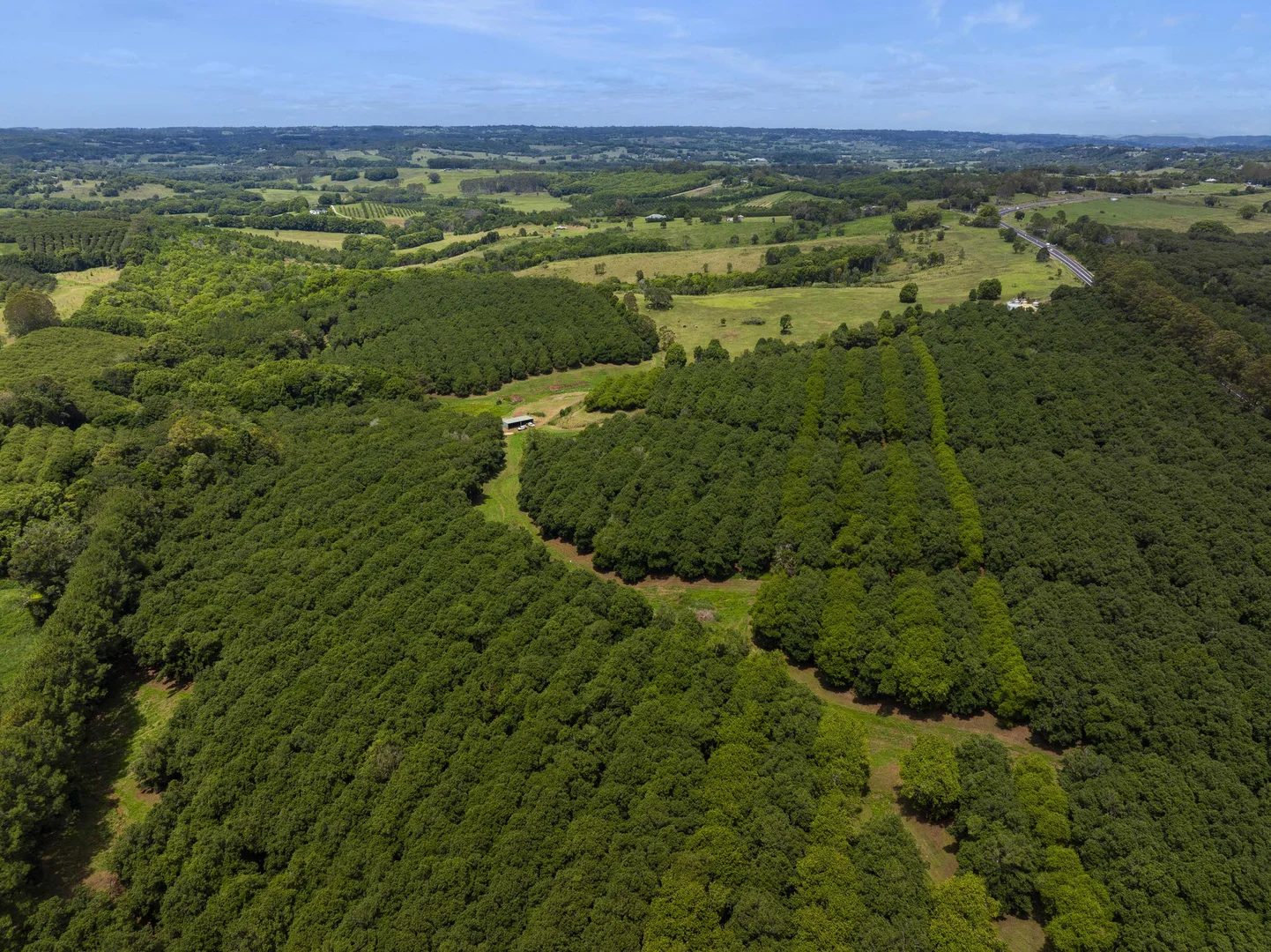 Additional image 4 of 1025 Lismore Road, Nashua NSW 2479