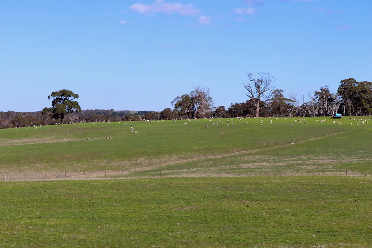 Additional image 10 of 13, 13A, 13B, 31A &, BRIDGE ROAD, Grenville VIC 3352