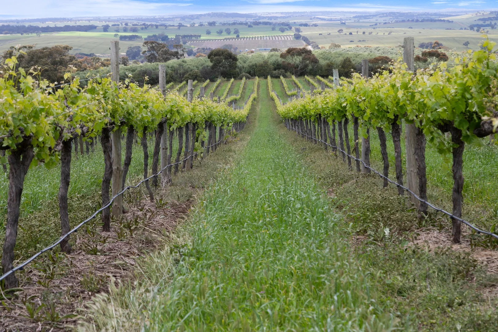 Additional image 3 of Lot 54 Tank Road, Auburn SA 5451