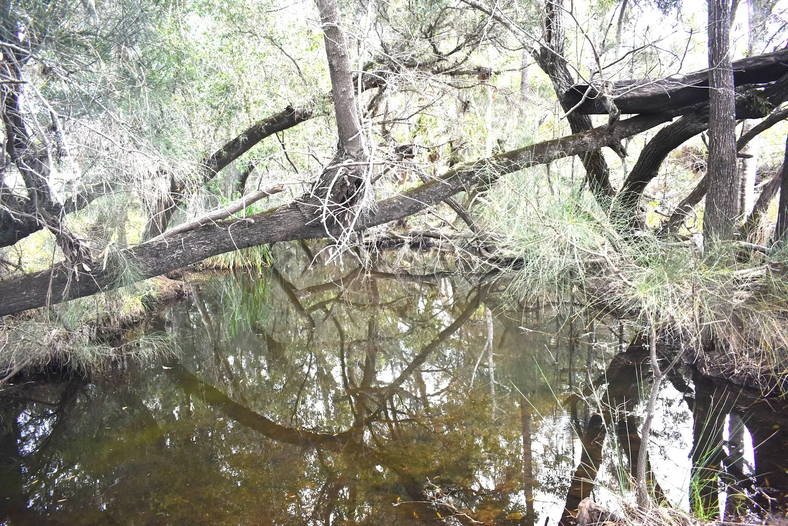 Additional image 11 of 539 Old Gayndah Road, Dunmora QLD 4650