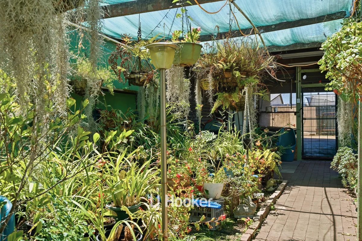 Additional image 27 of 22 Clifton Street, Collie WA 6225