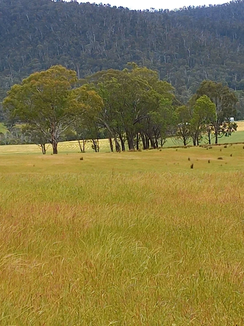 Additional image 10 of Lot 10/714 Yenschs Road, Lankeys Creek NSW 2644