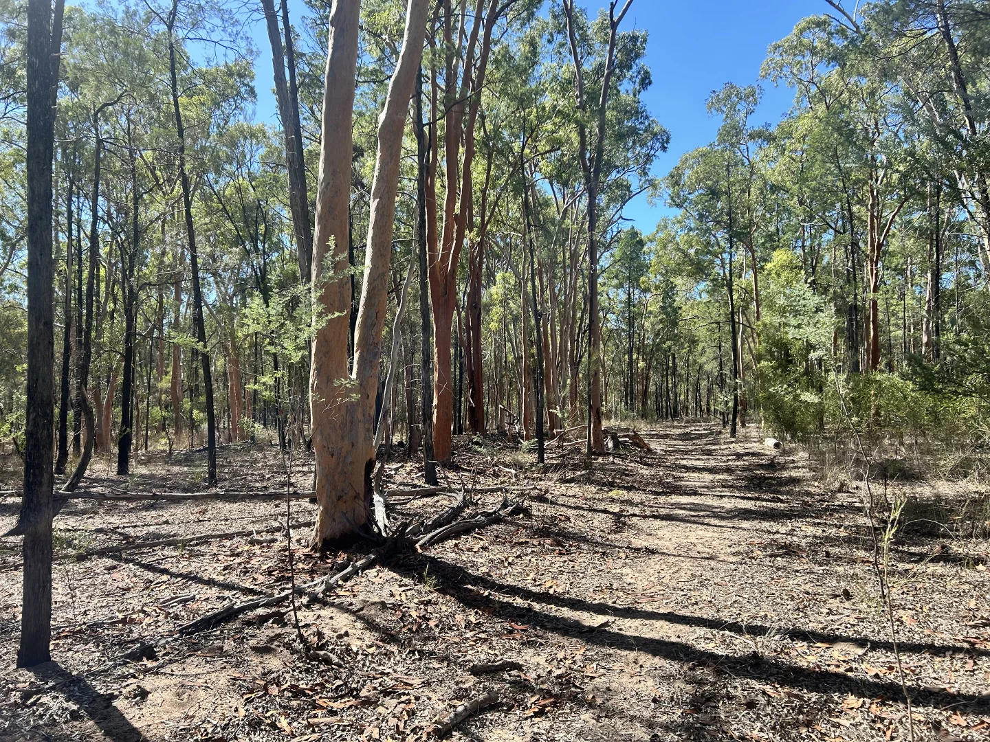 Additional image 15 of Lot 110 Biggs Rd, Coolmunda QLD 4387