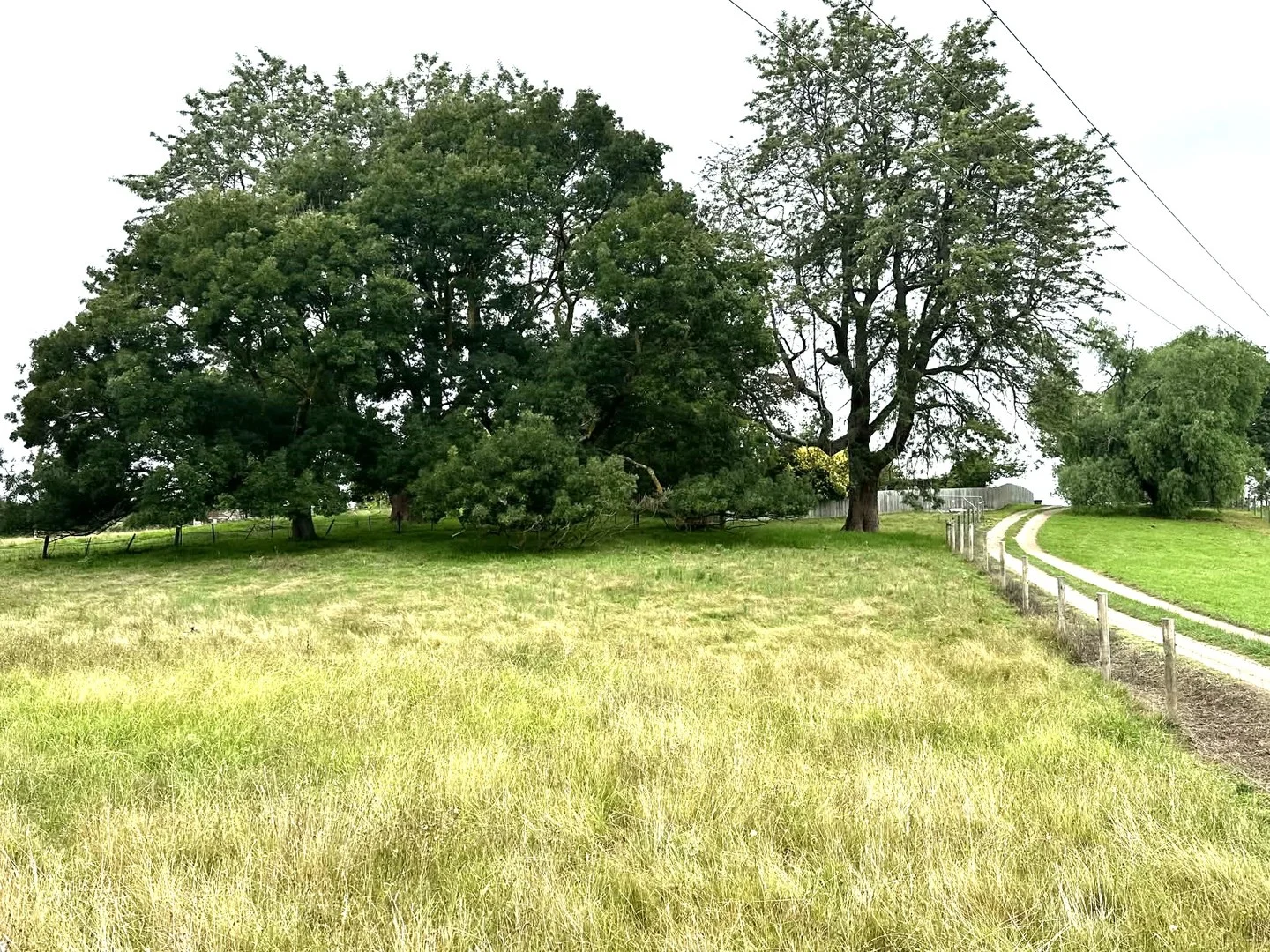 46 Bruthen-Nowa Nowa Road, Bruthen VIC 3885