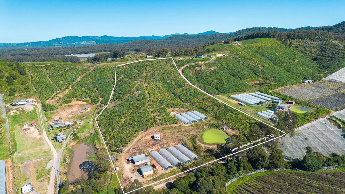 Additional image 14 of 20 Puhos Road, Sandy Beach NSW 2456