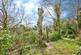 Additional image 22 of Madeira Road, Ventnor, Isle of Wight, PO38
