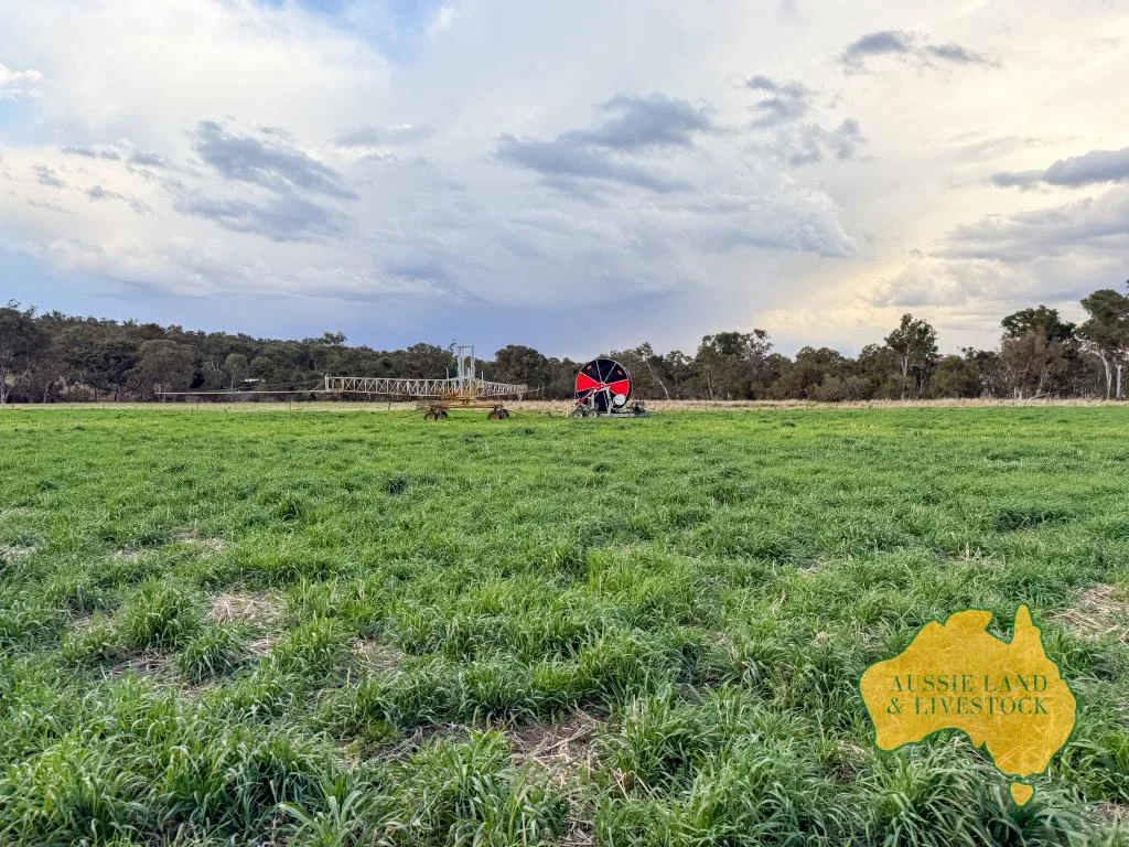 Additional image 24 of 250 Heights Road, Nanango QLD 4615