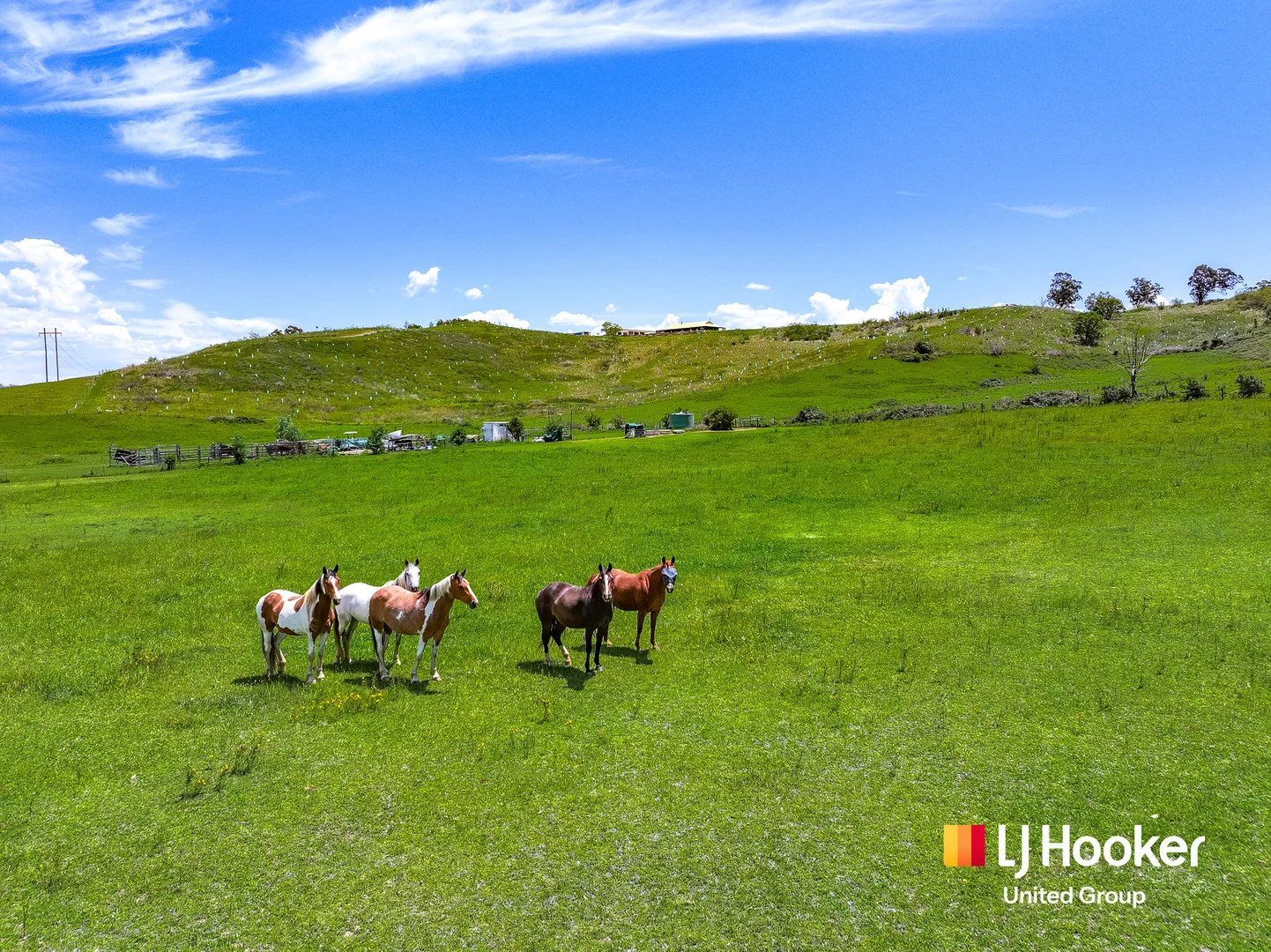 Additional image 14 of 1370 Menangle Road, Maldon NSW 2571