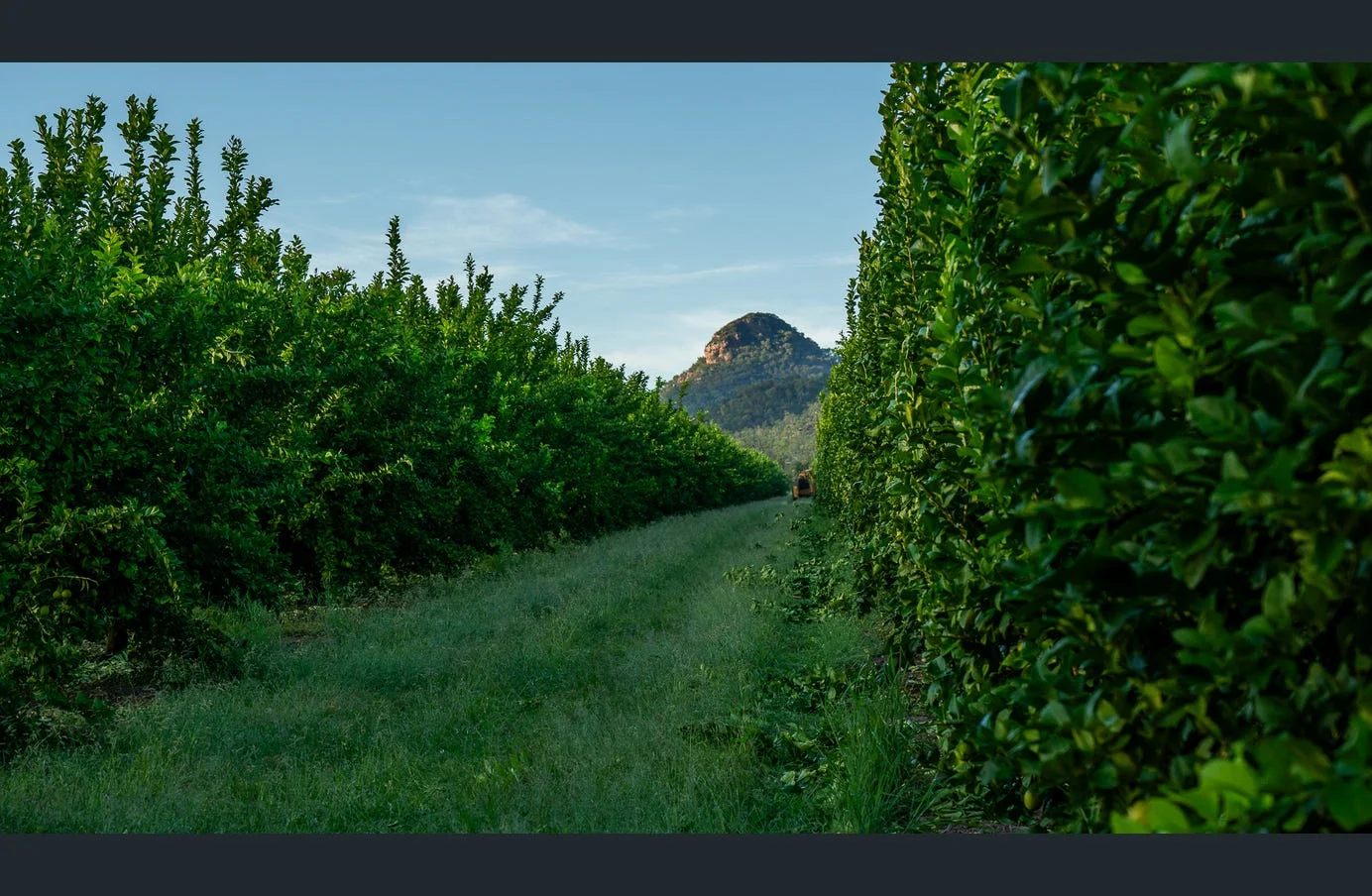 Additional image 17 of 85 Schincariol Road, Dimbulah QLD 4872