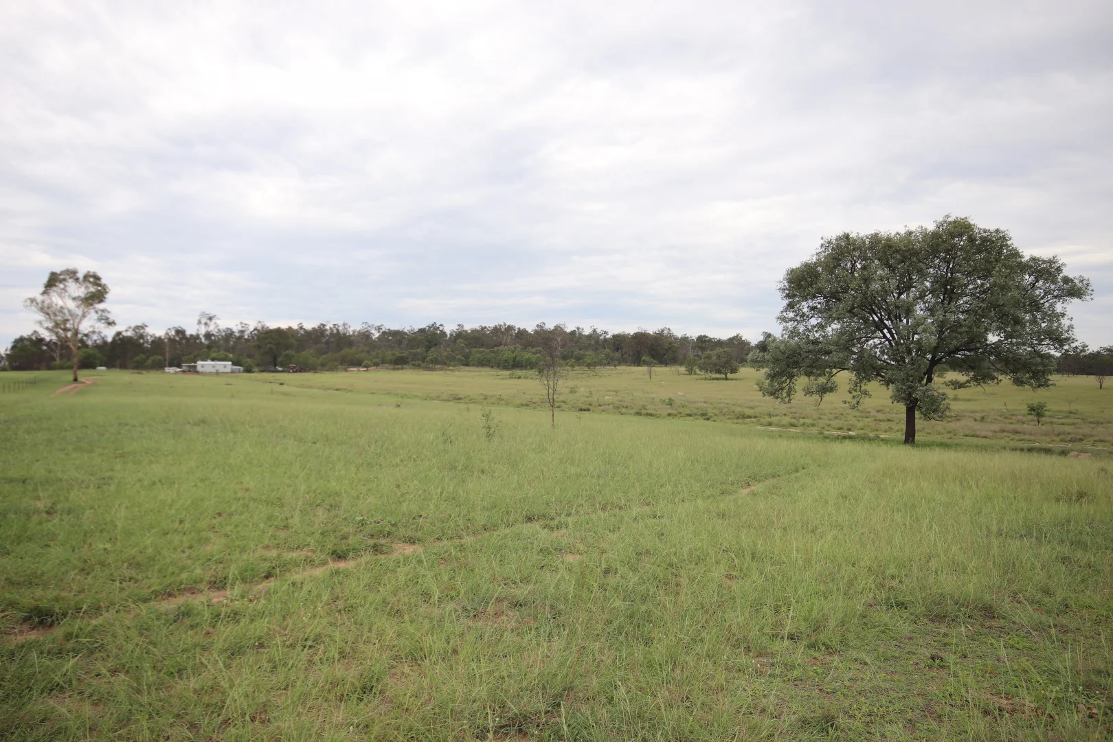 Additional image 12 of 24754 Burnett Highway, Ceratodus QLD 4627