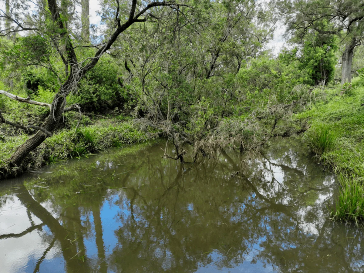 Additional image 10 of Paddy's Flat Road, Tabulam NSW 2469