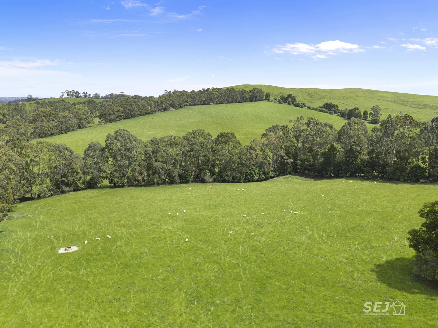 Additional image 13 of 105 Holmes Road, Mardan VIC 3953