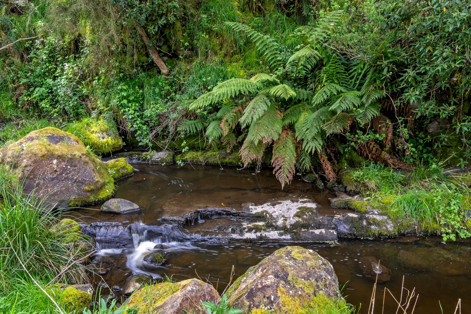 Additional image 20 of 9 Bobs Road, Oyster Cove TAS 7150