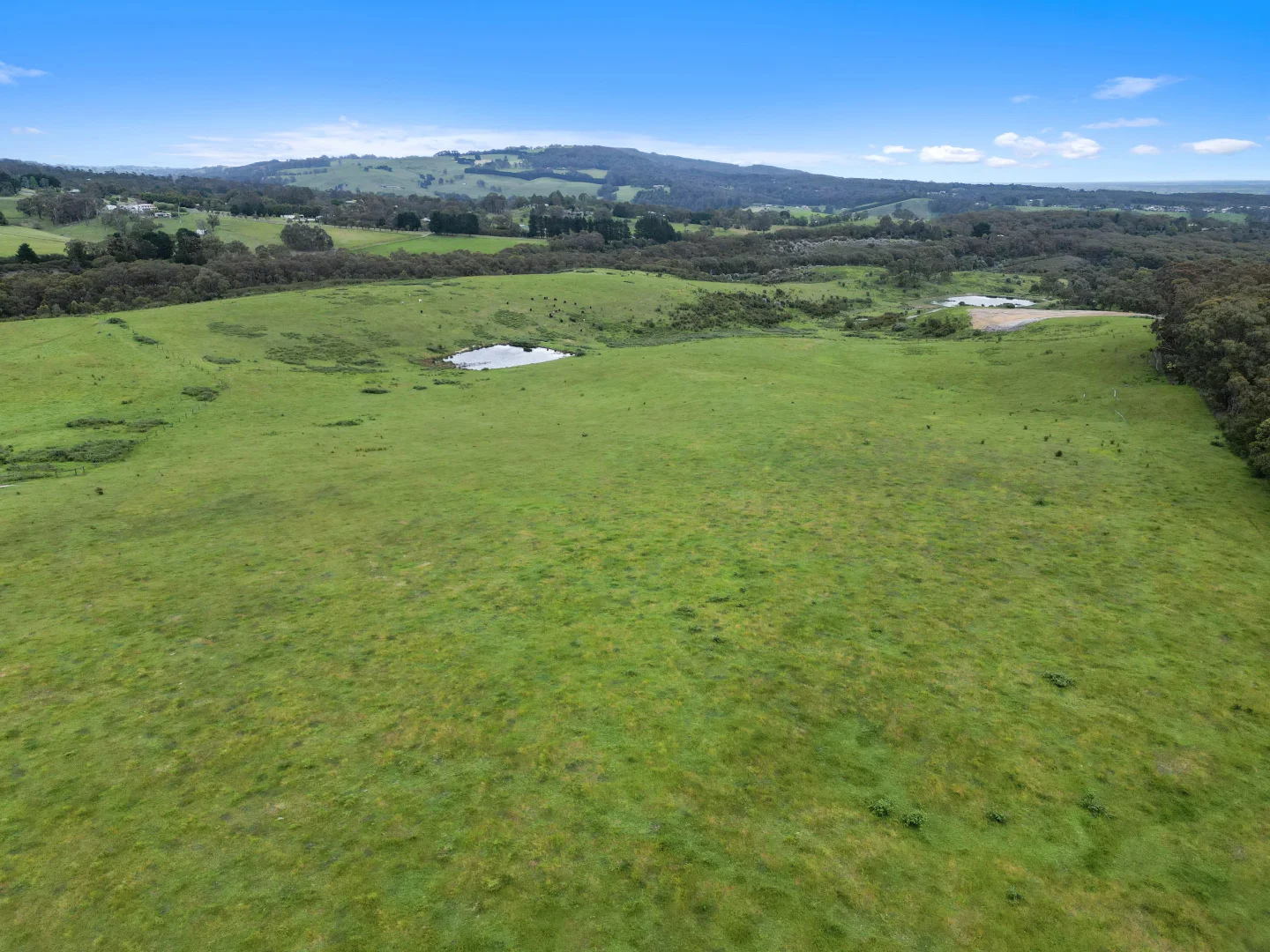 Additional image 13 of 220 Haunted Hills Road, Newborough VIC 3825