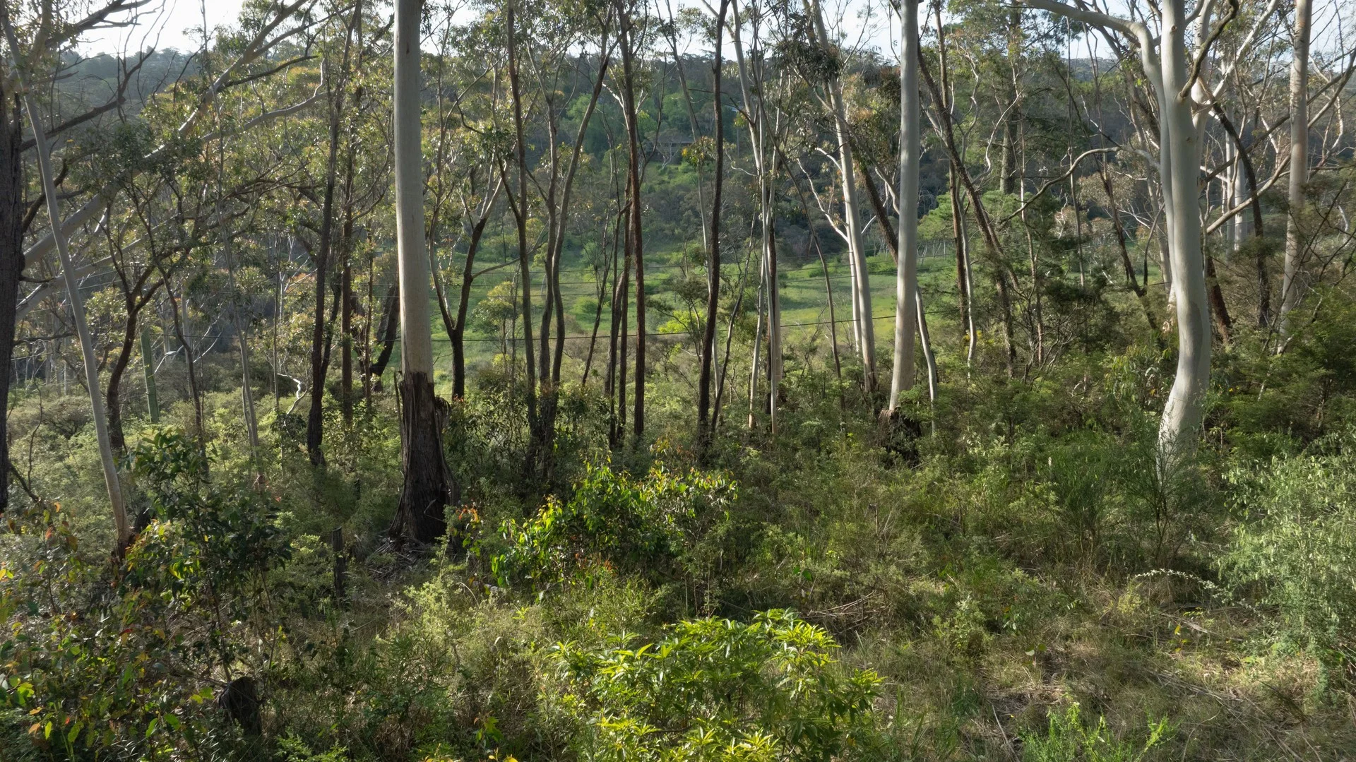 6 Alma Lane, Katoomba NSW 2780