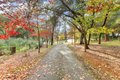 Additional image 25 of 5200 Deerwood Dr, Shingle Springs, CA, 95682