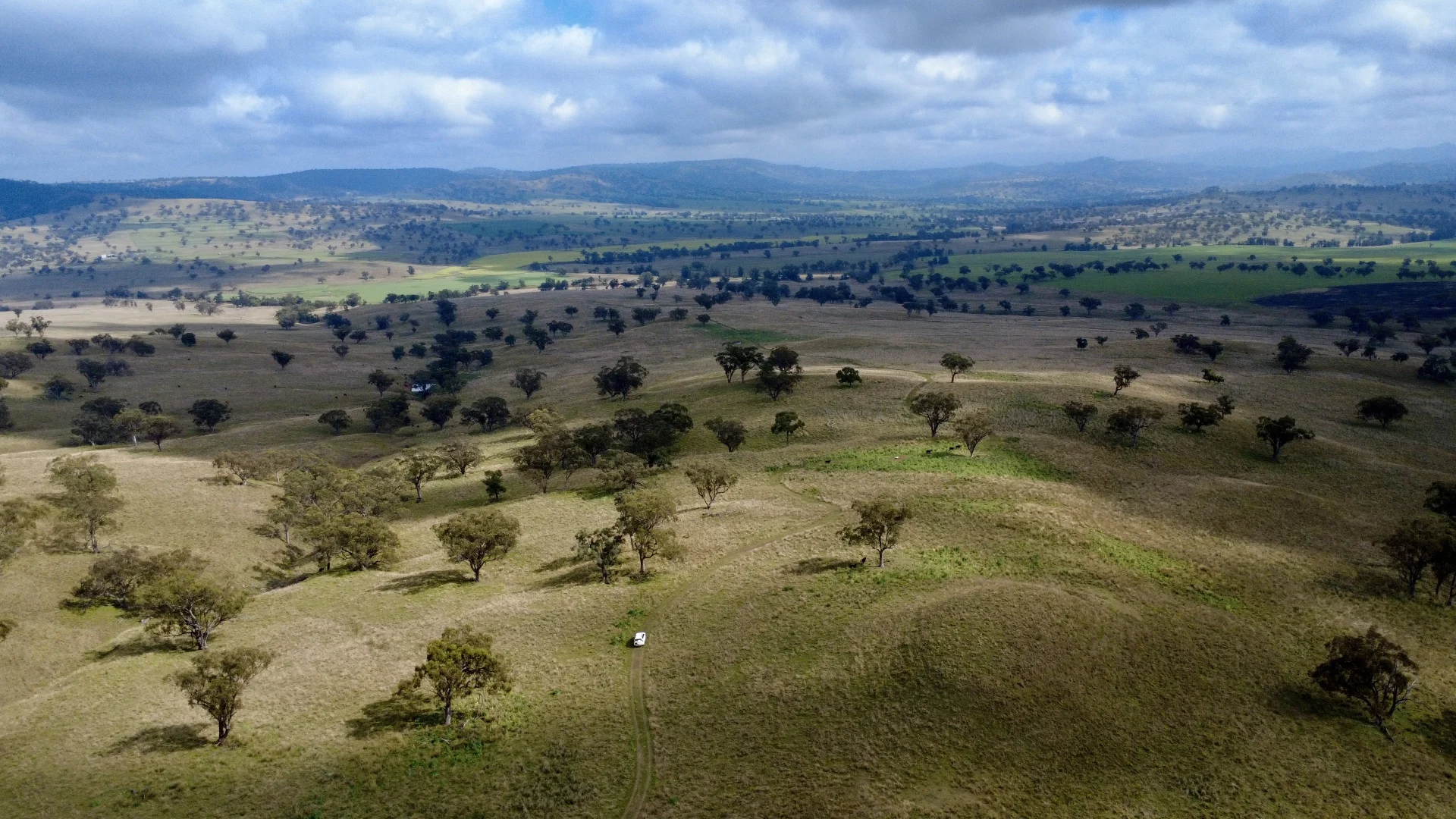 Additional image 5 of 955 "Wirringulla" Coulsons Creek Road, Merriwa NSW 2329