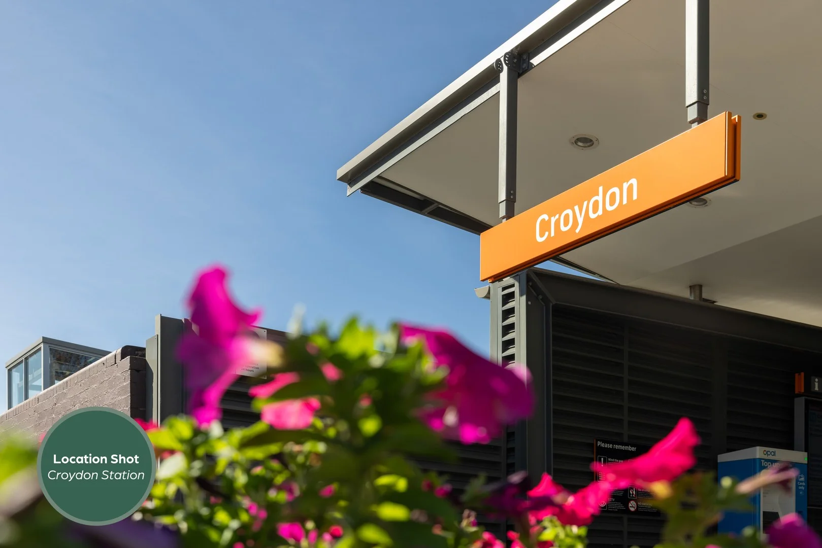 Additional image 26 of 24 Murray Street, Croydon NSW 2132