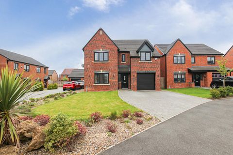 Paddock Lane, Moorfields NE12
