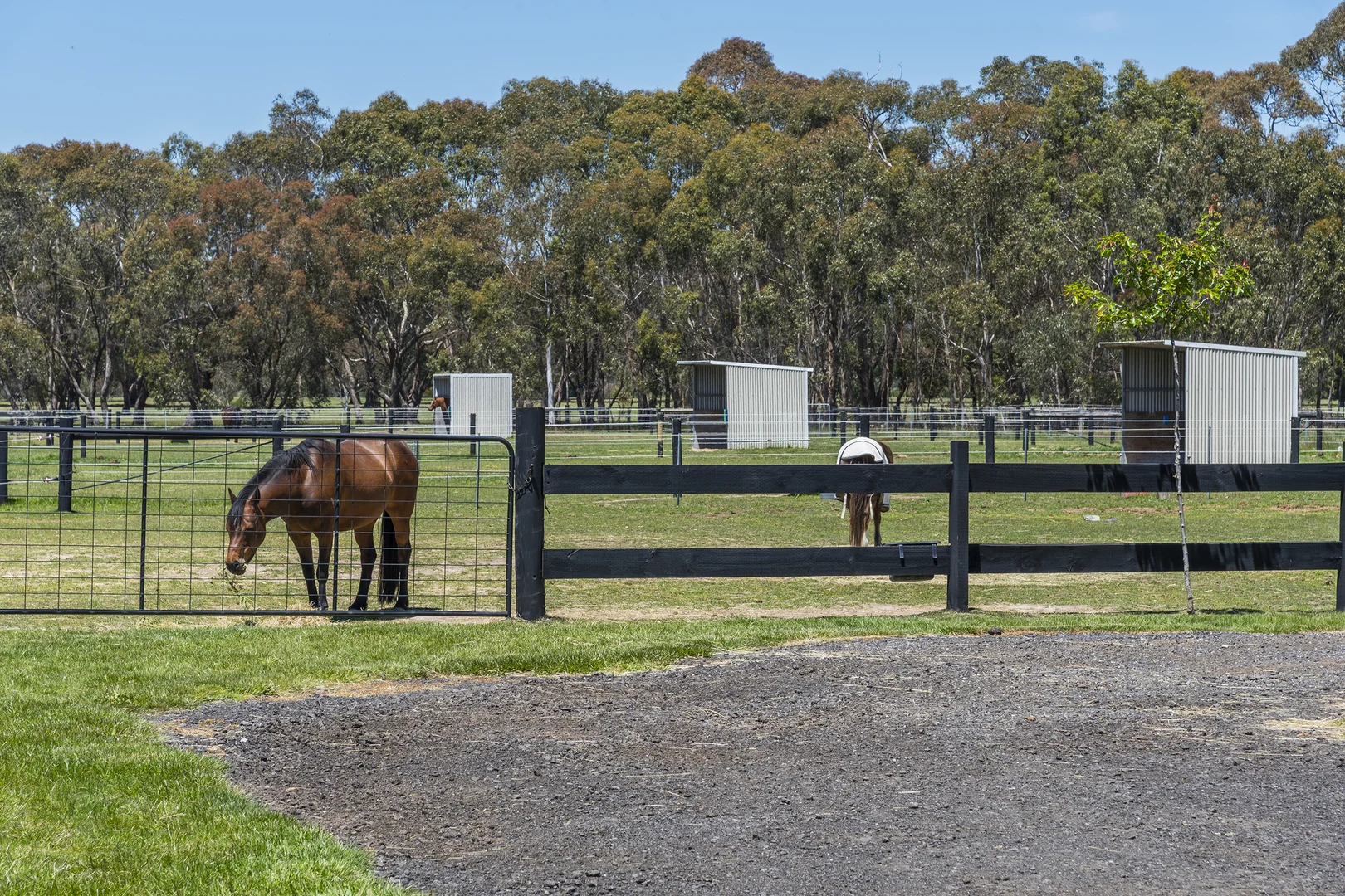 Additional image 33 of 53 King Drive, Lancefield VIC 3435