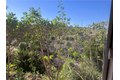 Additional image 24 of 4701 Don Miguel Dr, Los Angeles, CA, 90008