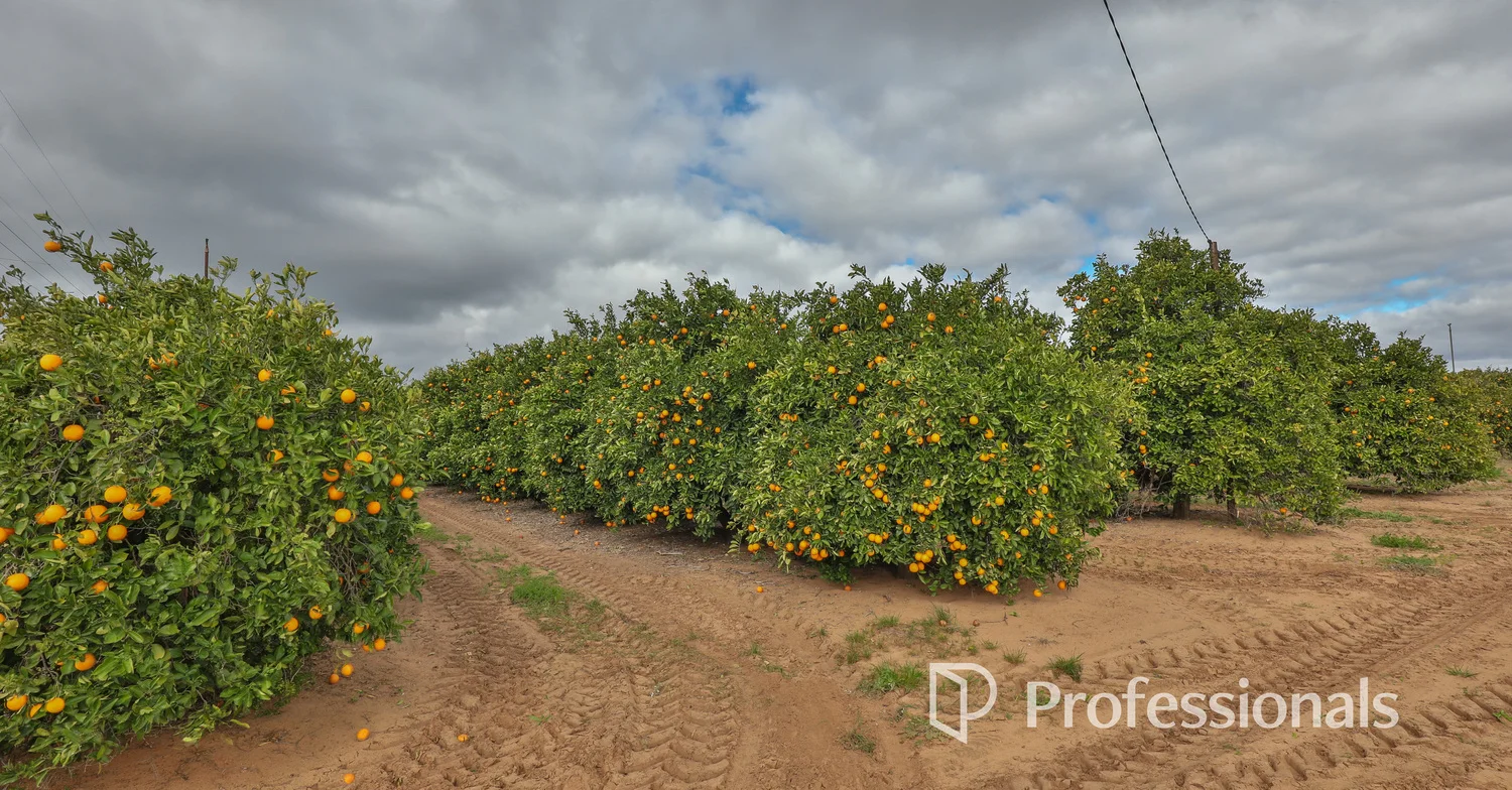 Additional image 25 of 45 Regent Drive, Colignan VIC 3494