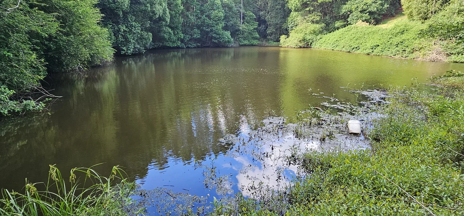 Additional image 9 of 1025 Lismore Road, Nashua NSW 2479