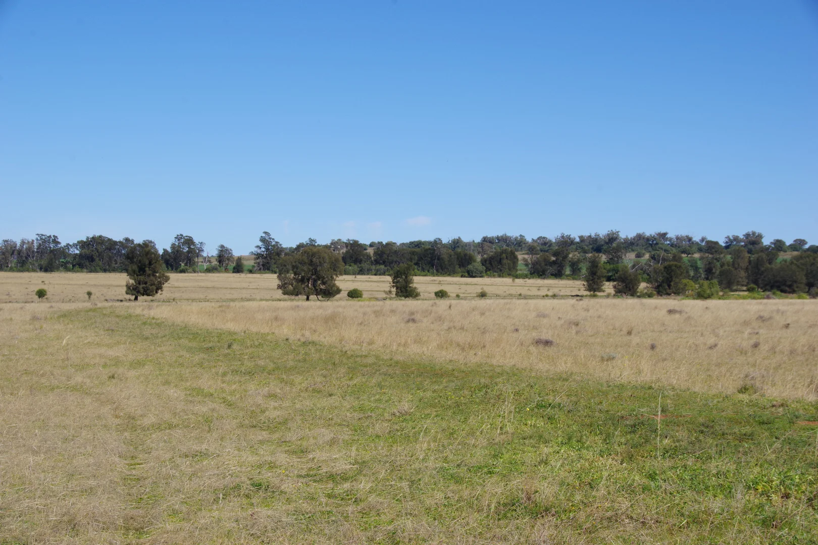 Additional image 35 of 635 Mayfield Road, Narrabri NSW 2390