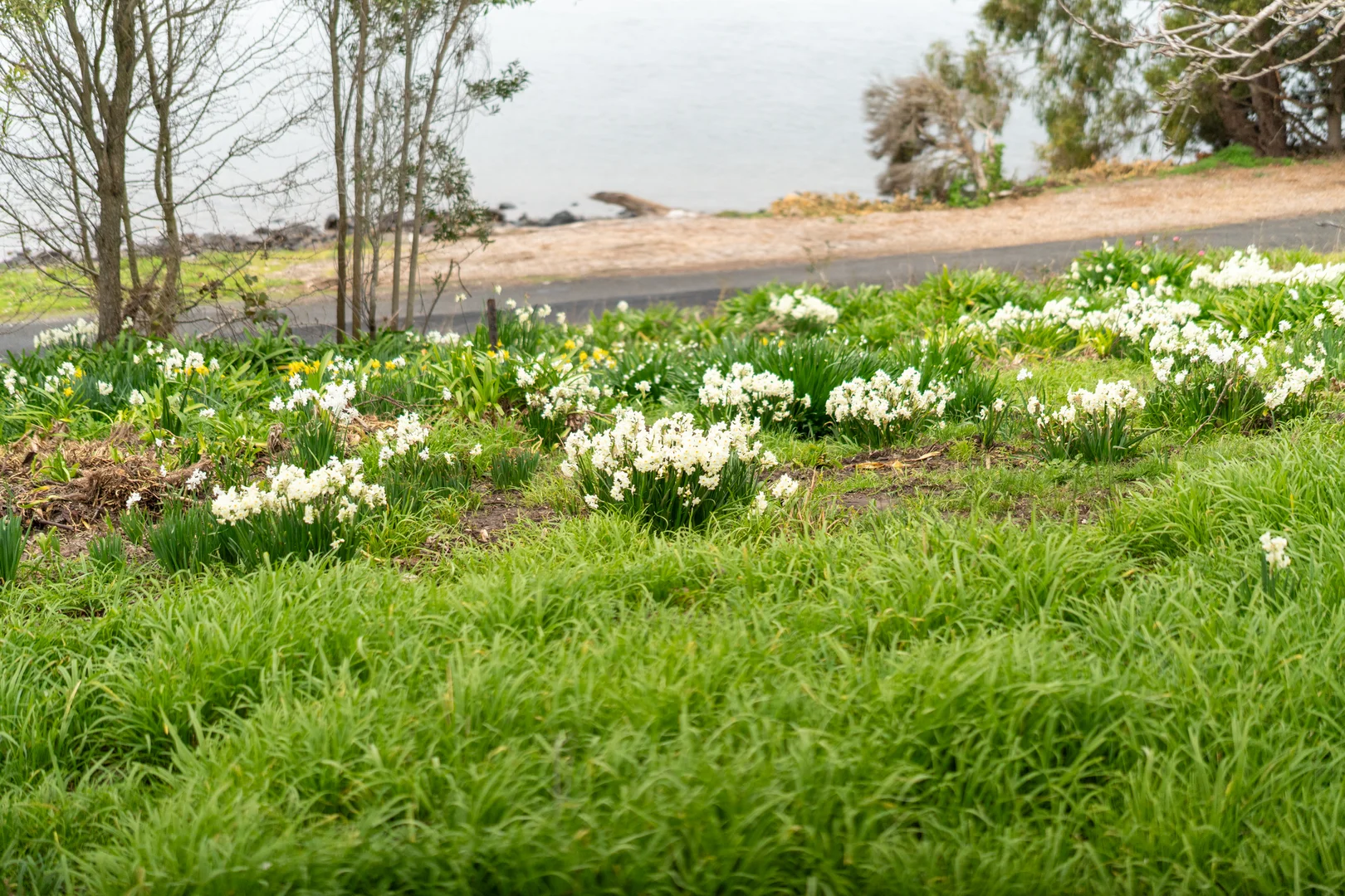 Additional image 9 of 161 Camms Road, Kayena TAS 7270