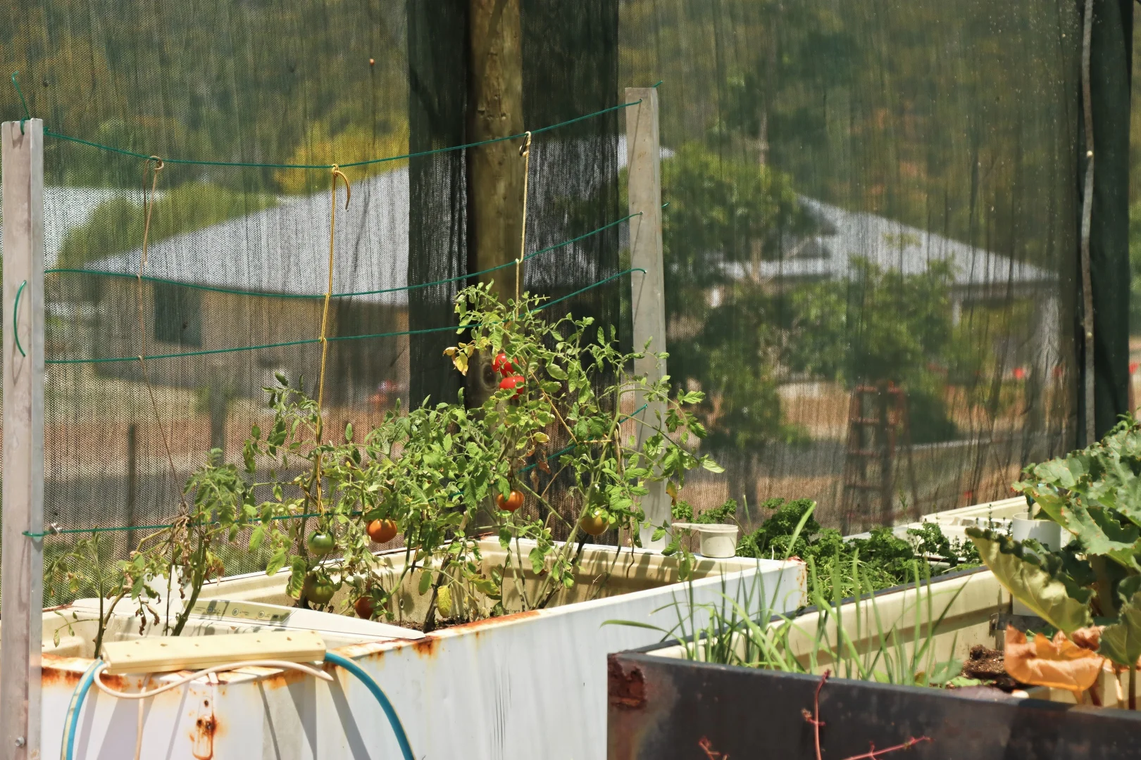 Additional image 24 of 1 Park Avenue, Bridgetown WA 6255