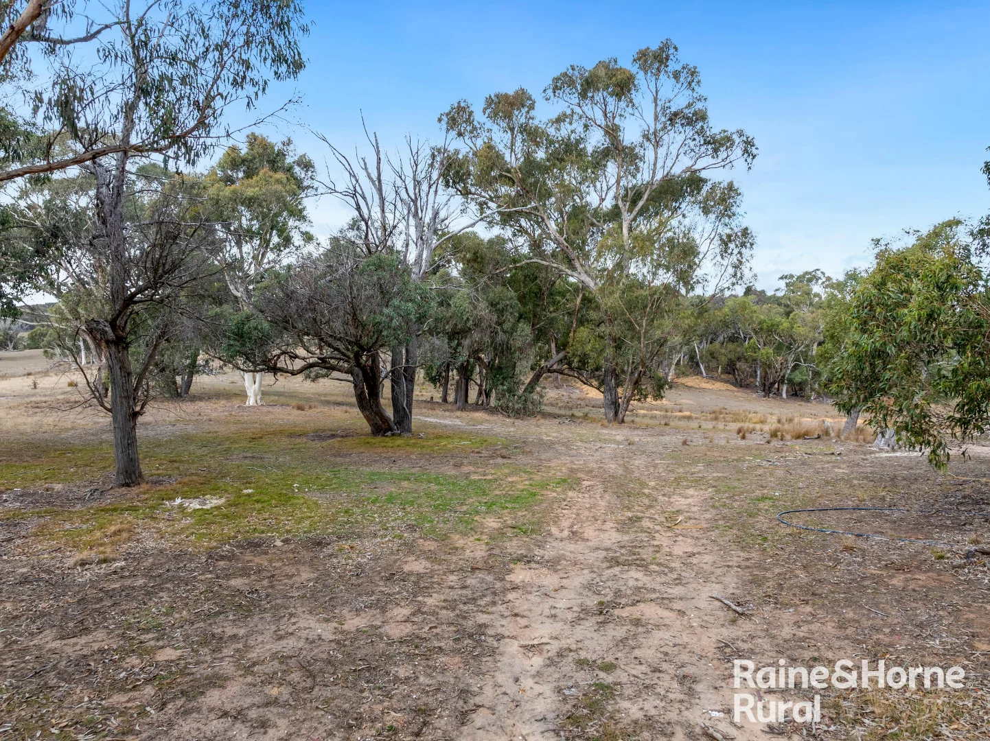 Additional image 12 of 258 Kangaloolah Road, Binda NSW 2583