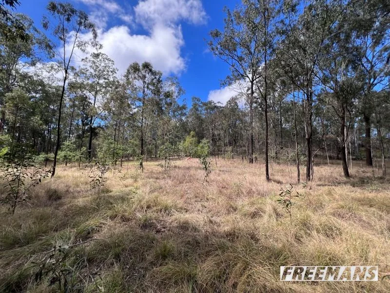 Additional image 24 of 316 Wattle Camp Road, Wattle Camp QLD 4615