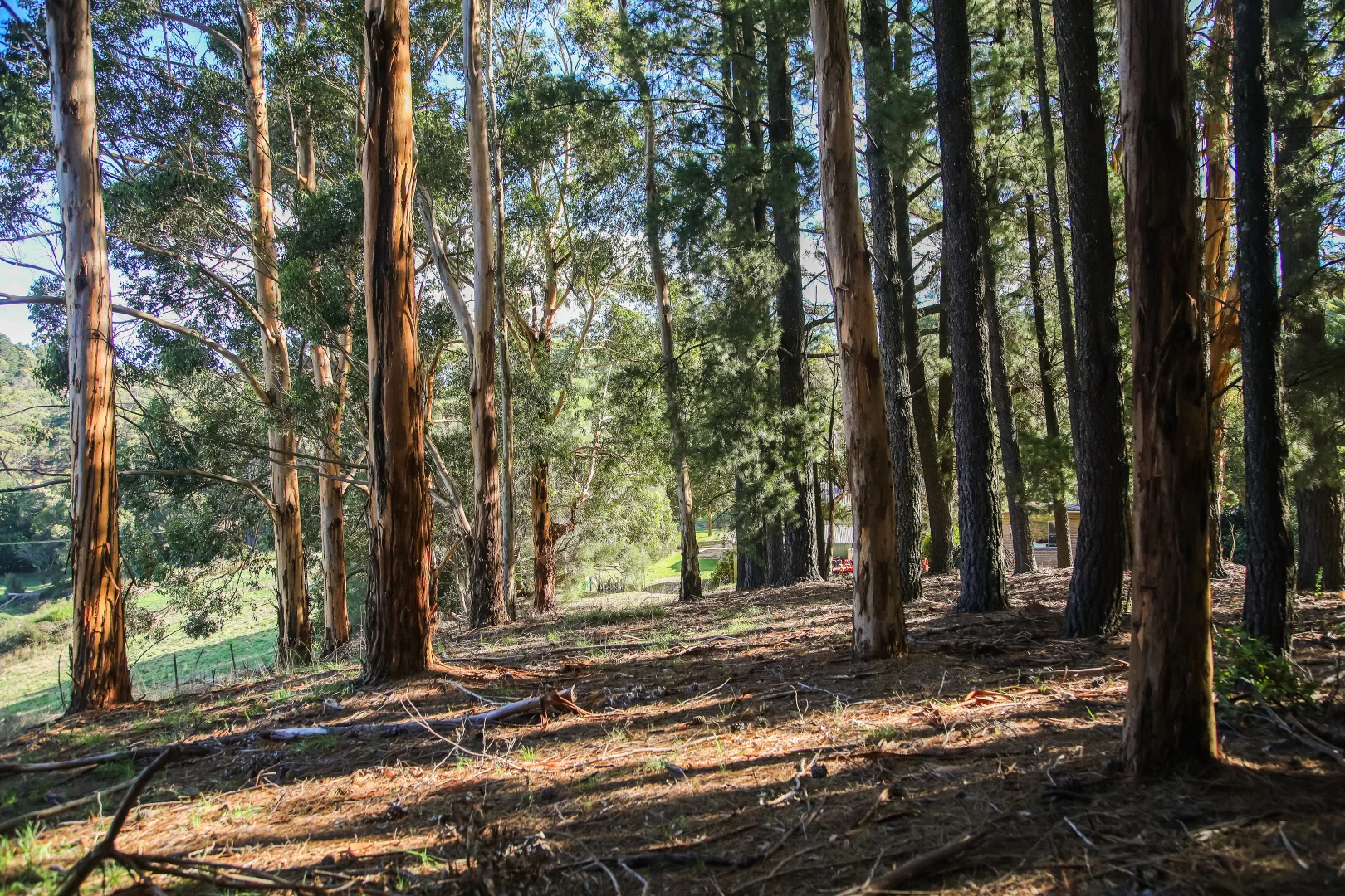 Additional image 27 of 290 Woods Hill Road, Ashton SA 5137