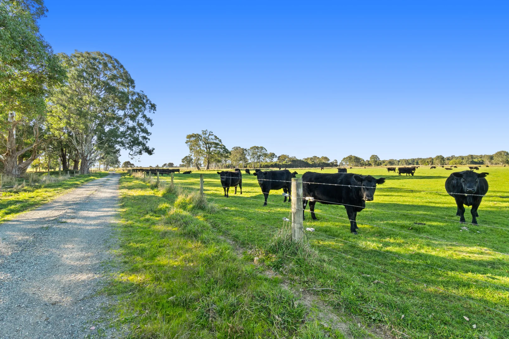 Additional image 20 of 596 Settlement Road, Kilmany VIC 3851