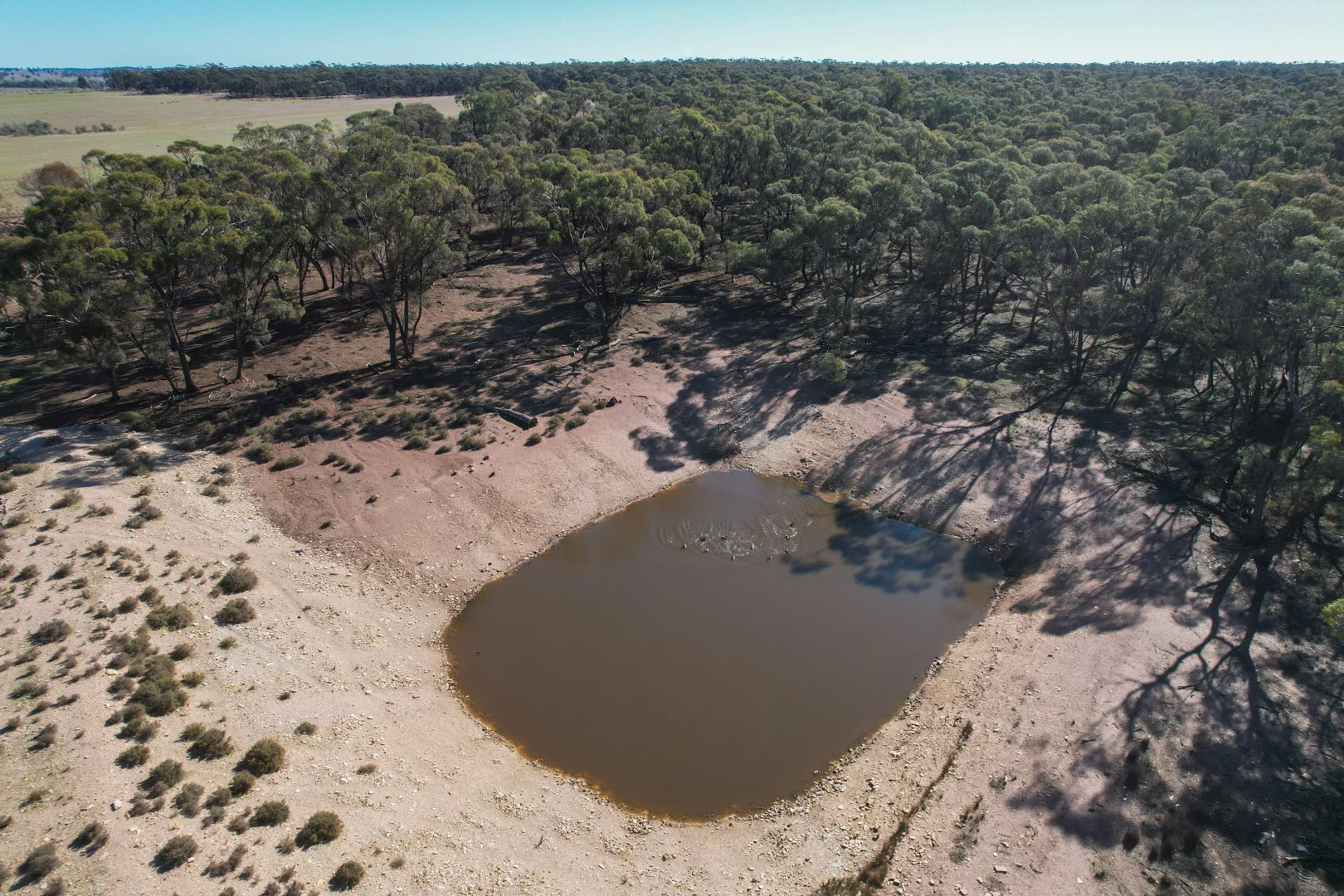 Additional image 12 of 1826 Tallimba Road, West Wyalong NSW 2671