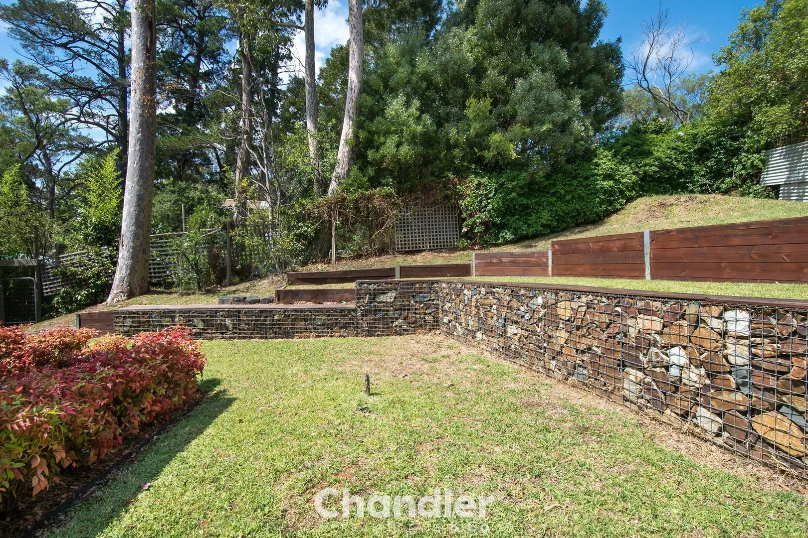 Additional image 19 of 6 Gumtree Grove, Belgrave Heights VIC 3160