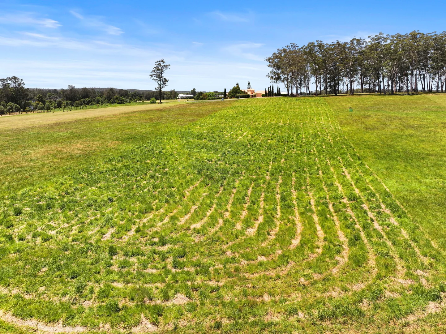 Additional image 10 of Lot 96 Provence Close, Sancrox NSW 2446