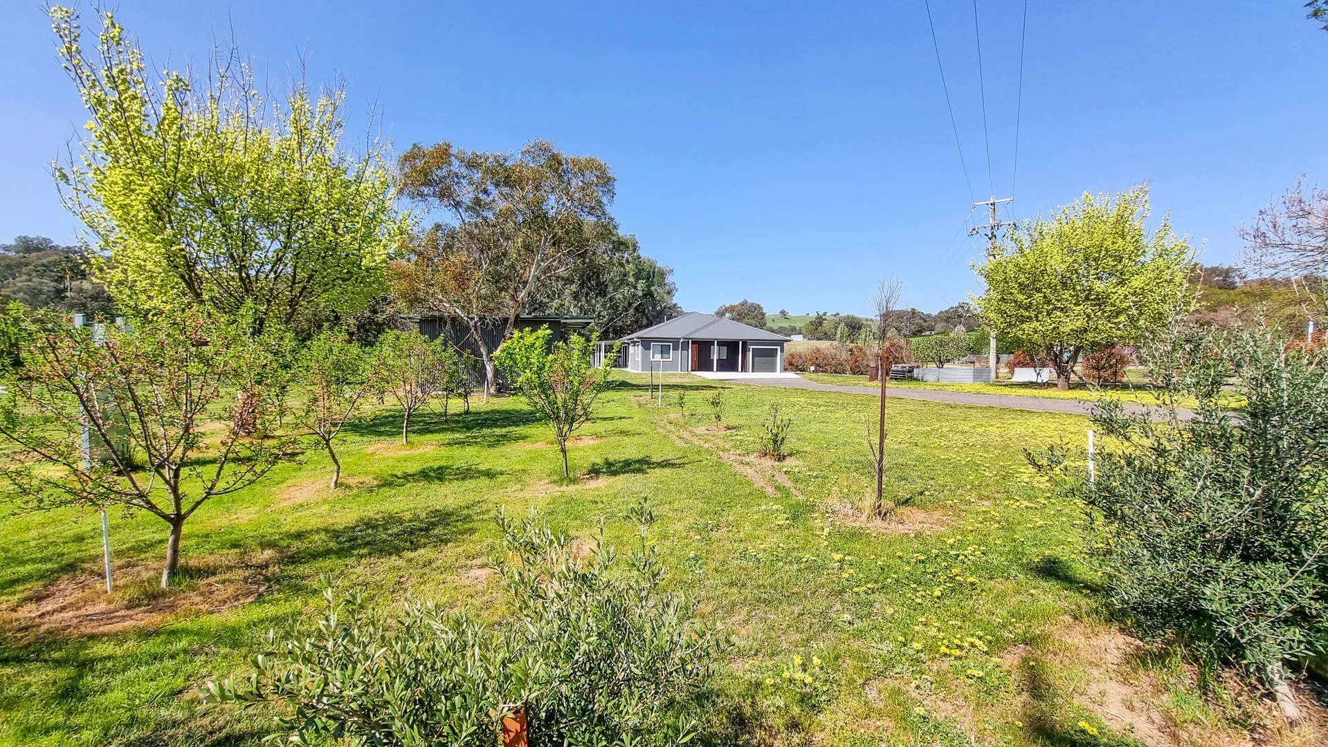 Additional image 12 of Murringo NSW 2586