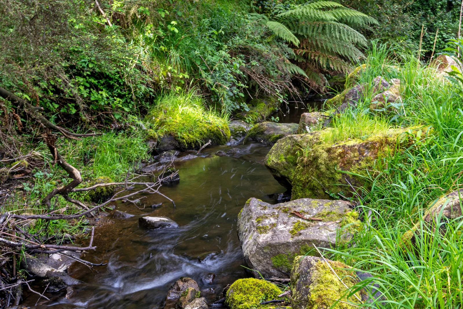 Additional image 6 of 9 Bobs Road, Oyster Cove TAS 7150