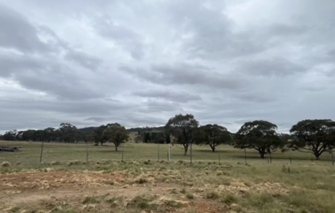 Additional image 15 of Lot 110 Rothlyn Road, Chakola NSW 2630