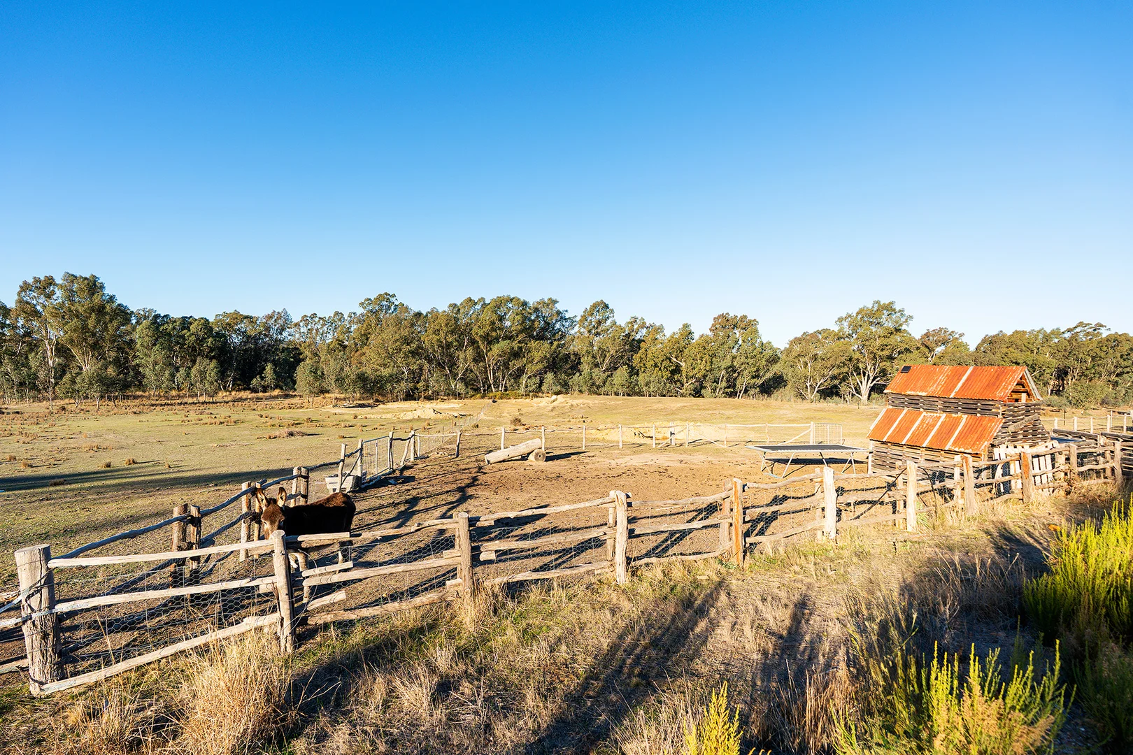 Additional image 8 of 141 Sinclairs Lane, Walmer VIC 3463