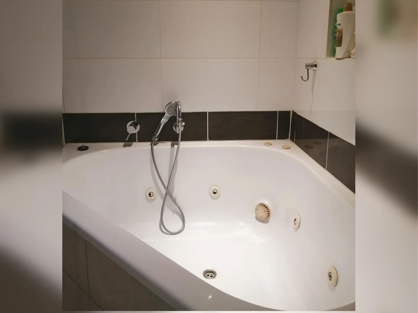 Additional image 16 of 9 Short Street, Deepwater NSW 2371