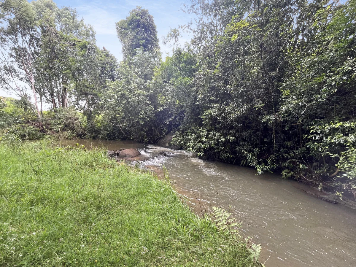 Additional image 16 of Tarzali QLD 4885