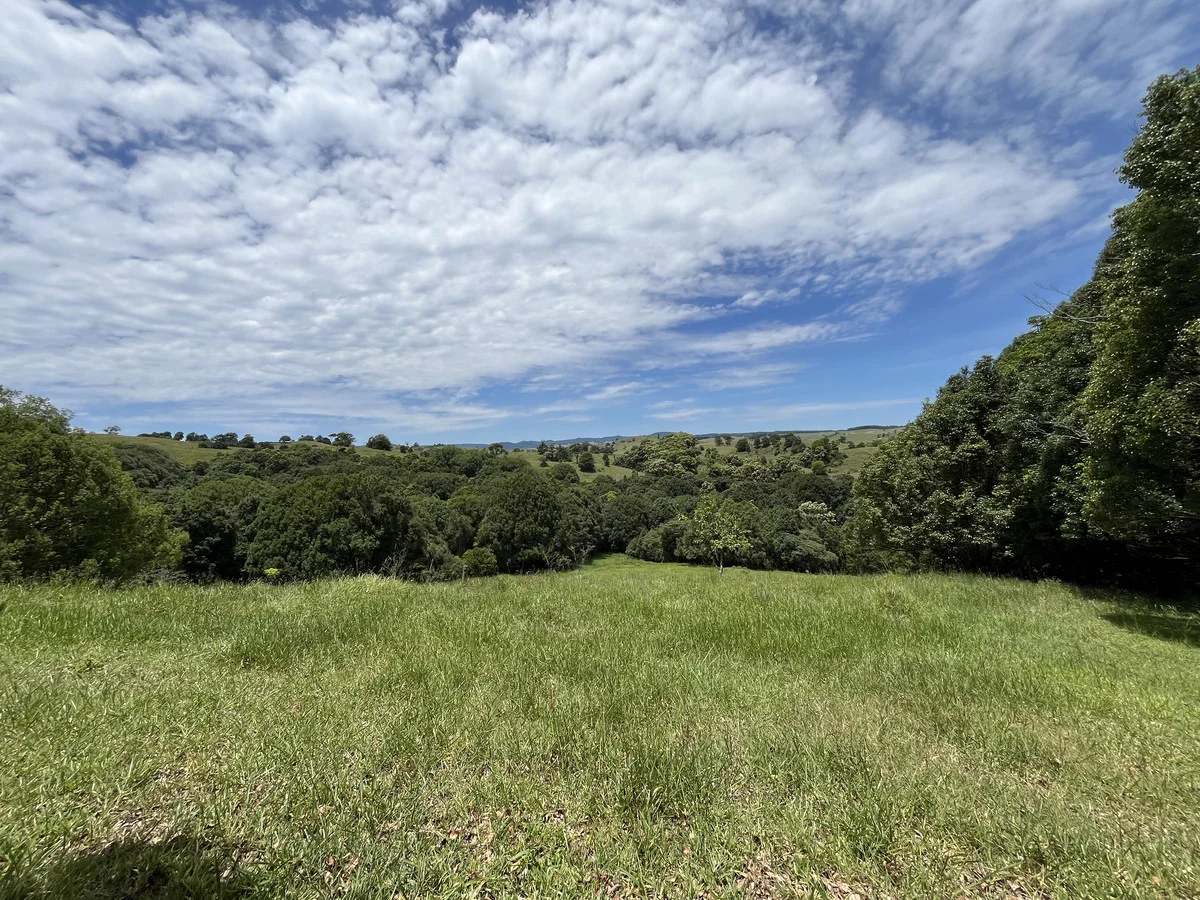 Additional image 13 of Tarzali QLD 4885