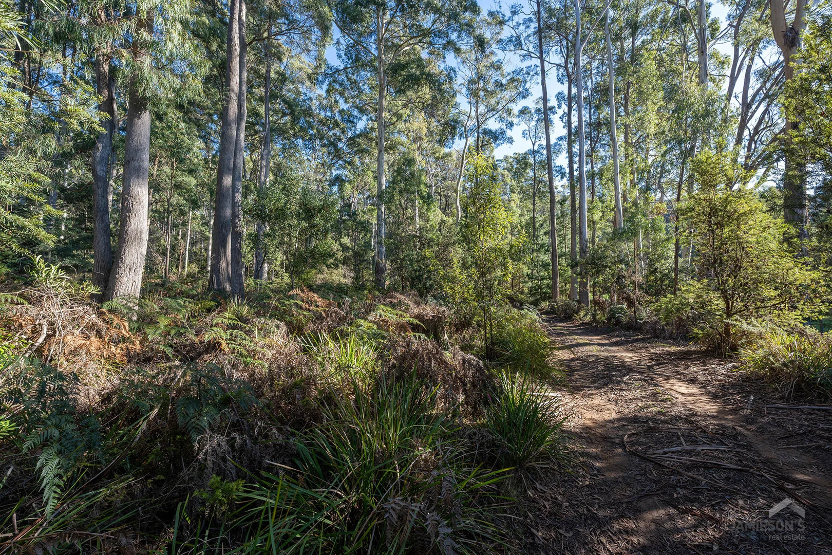 Additional image 11 of Weetah Road, Weetah TAS 7304