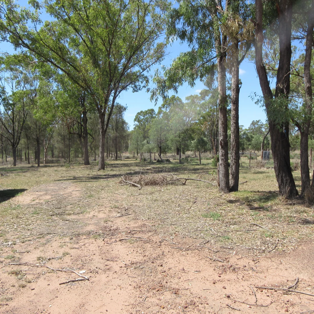 Additional image 13 of Tara QLD 4421