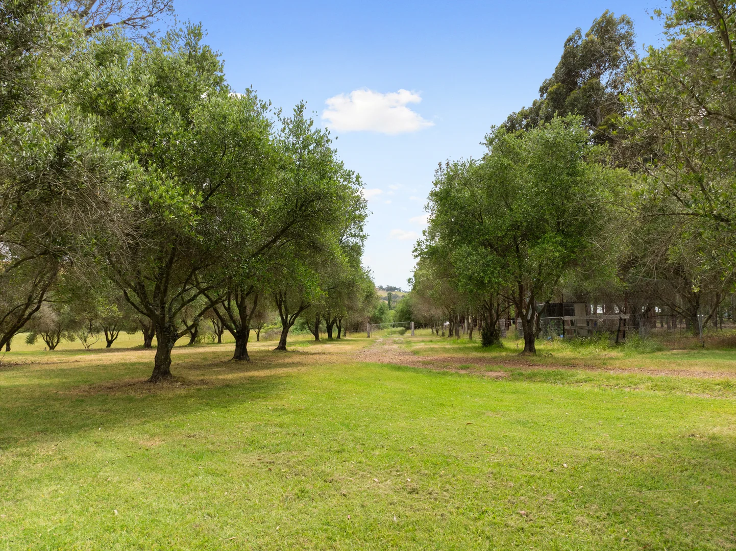 Additional image 25 of 210 Walshs Road, Goughs Bay VIC 3723