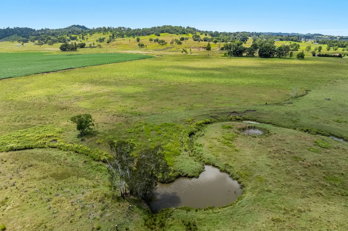 Additional image 11 of 180 Schielers Road, Tomki NSW 2470