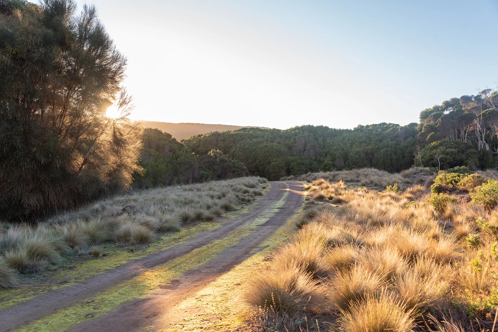 Additional image 11 of Lot 3 Boat Harbour Road, Killiecrankie TAS 7255